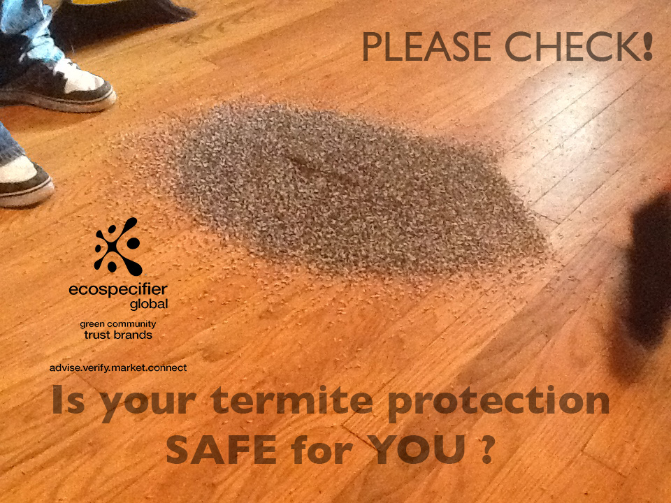 Termite Pest Control; Are you killing more than just termites?