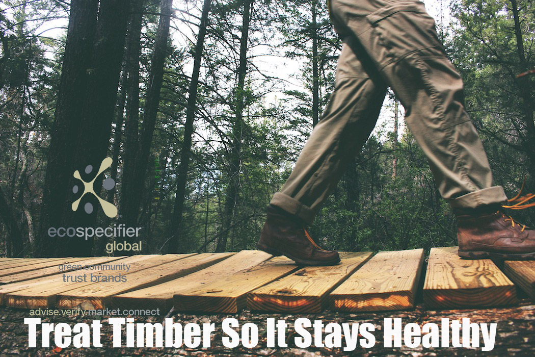 Timber Preservation: Making it last healthily